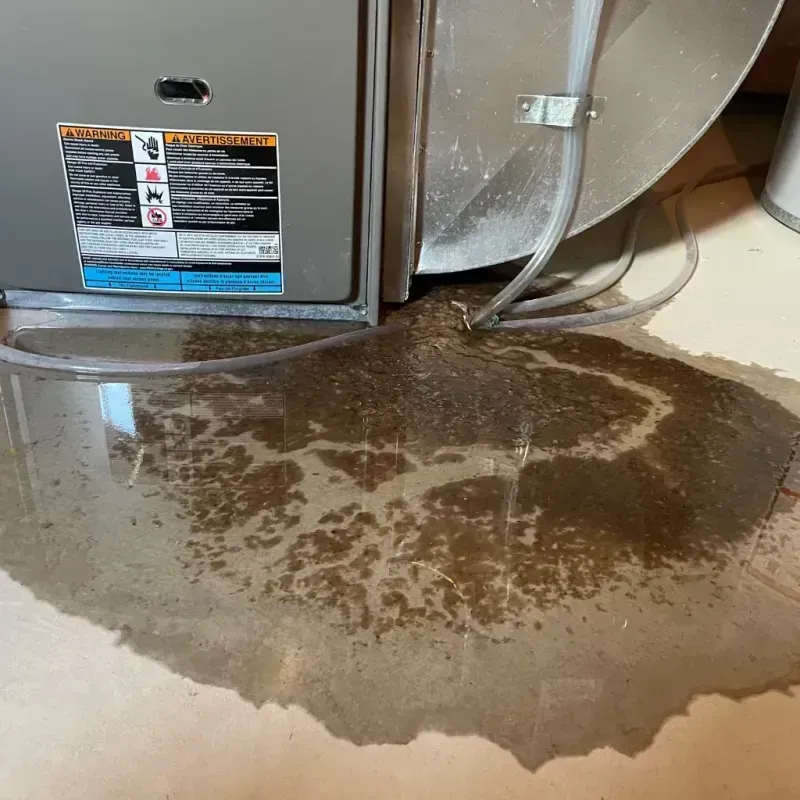 Appliance Leak Cleanup in Litchfield, CT